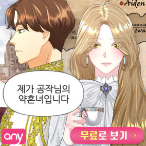 웹툰 플랫폼 애니툰